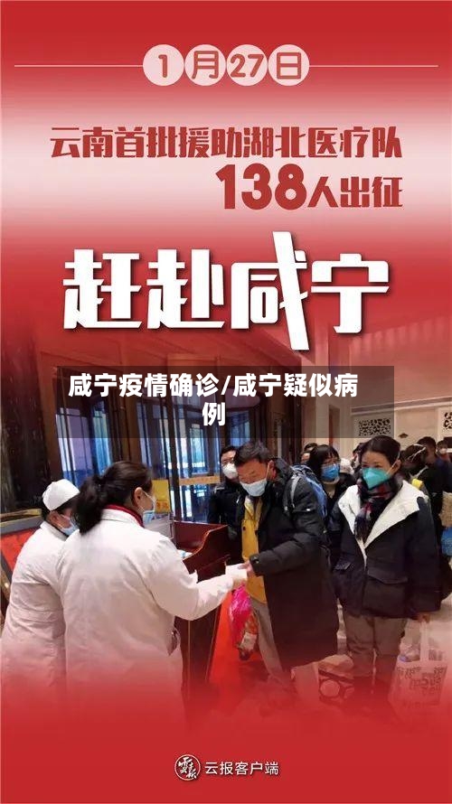 咸宁疫情确诊/咸宁疑似病例