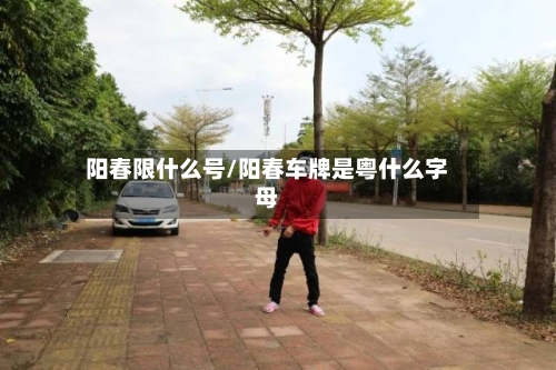 阳春限什么号/阳春车牌是粤什么字母
