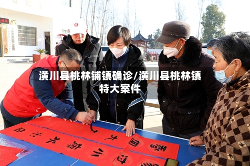 潢川县桃林铺镇确诊/潢川县桃林镇特大案件