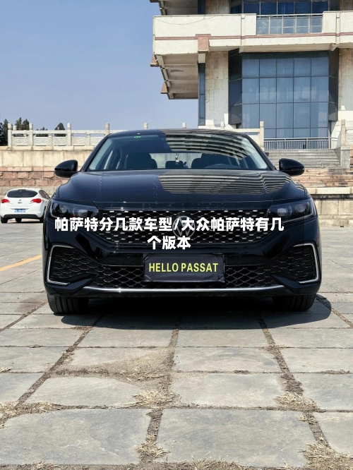 帕萨特分几款车型/大众帕萨特有几个版本-第3张图片