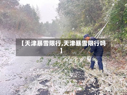 【天津暴雪限行,天津暴雪限行吗】