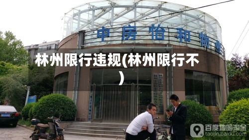林州限行违规(林州限行不)