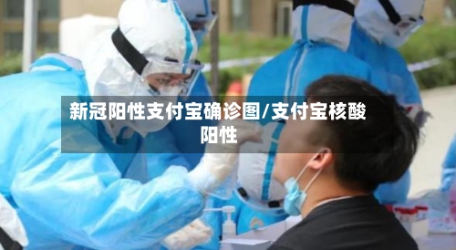 新冠阳性支付宝确诊图/支付宝核酸阳性-第2张图片