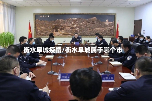 衡水阜城疫情/衡水阜城属于哪个市
