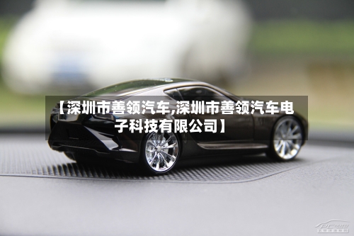 【深圳市善领汽车,深圳市善领汽车电子科技有限公司】