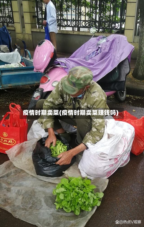 疫情时期卖菜(疫情时期卖菜赚钱吗)-第2张图片