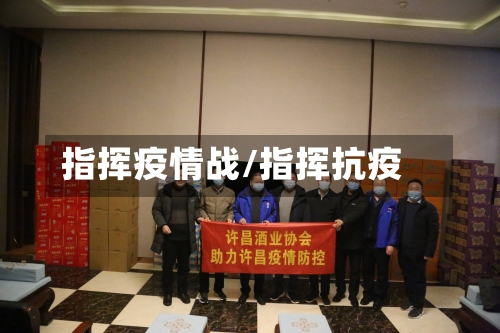 指挥疫情战/指挥抗疫