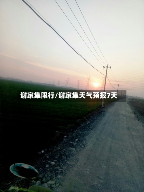 谢家集限行/谢家集天气预报7天