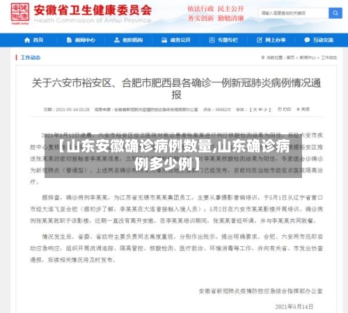 【山东安徽确诊病例数量,山东确诊病例多少例】-第3张图片