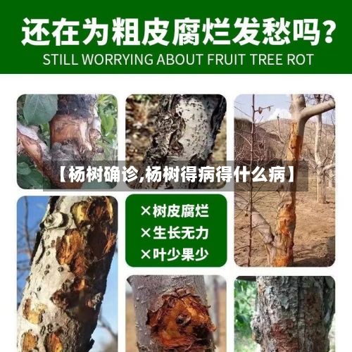 【杨树确诊,杨树得病得什么病】