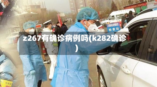 z267有确诊病例吗(k282确诊)-第2张图片