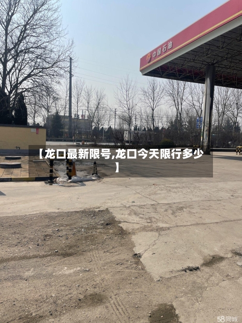 【龙口最新限号,龙口今天限行多少】-第2张图片