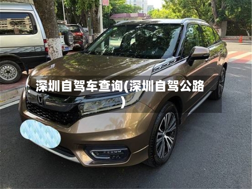 深圳自驾车查询(深圳自驾公路)
