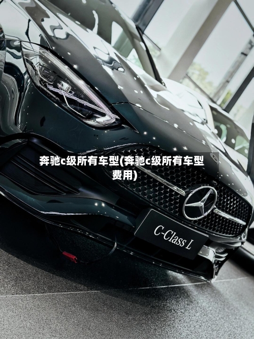 奔驰c级所有车型(奔驰c级所有车型费用)-第3张图片