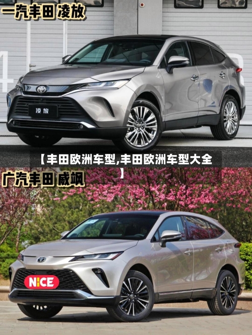 【丰田欧洲车型,丰田欧洲车型大全】-第2张图片