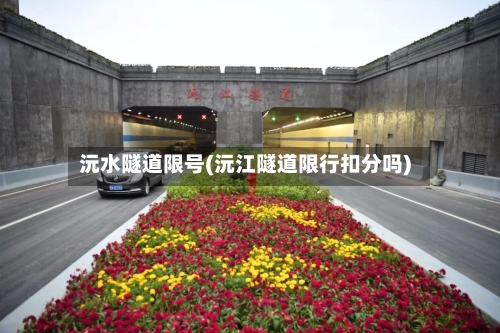 沅水隧道限号(沅江隧道限行扣分吗)-第3张图片