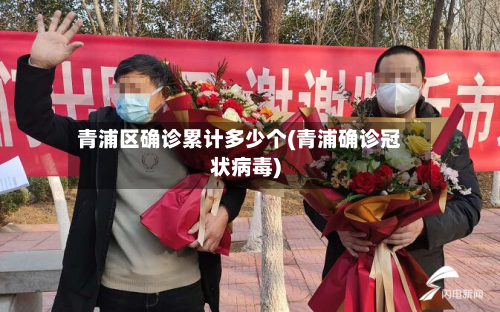 青浦区确诊累计多少个(青浦确诊冠状病毒)
