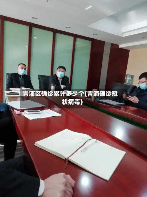 青浦区确诊累计多少个(青浦确诊冠状病毒)-第2张图片