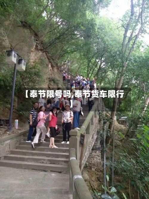 【奉节限号吗,奉节货车限行】