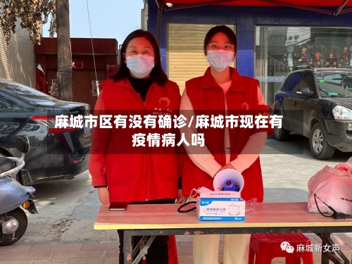 麻城市区有没有确诊/麻城市现在有疫情病人吗-第2张图片