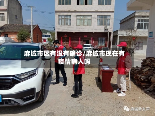 麻城市区有没有确诊/麻城市现在有疫情病人吗-第3张图片