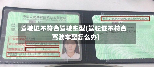 驾驶证不符合驾驶车型(驾驶证不符合驾驶车型怎么办)-第2张图片
