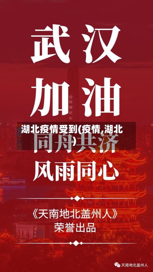湖北疫情受到(疫情,湖北)