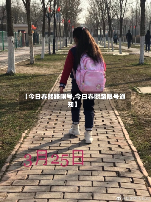 【今日春熙路限号,今日春熙路限号通知】-第2张图片