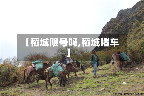 【稻城限号吗,稻城堵车】-第2张图片