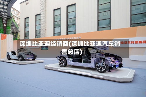 深圳比亚迪经销商(深圳比亚迪汽车销售总店)
