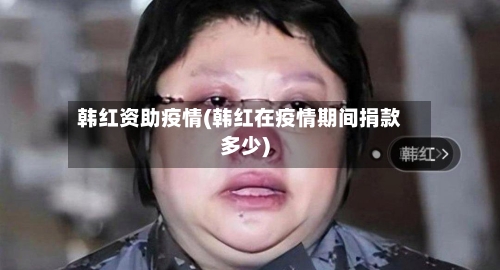 韩红资助疫情(韩红在疫情期间捐款多少)-第3张图片