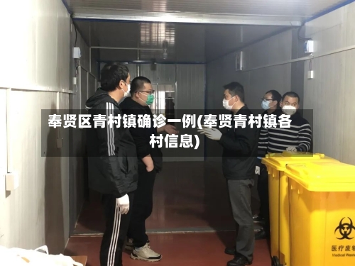 奉贤区青村镇确诊一例(奉贤青村镇各村信息)-第3张图片