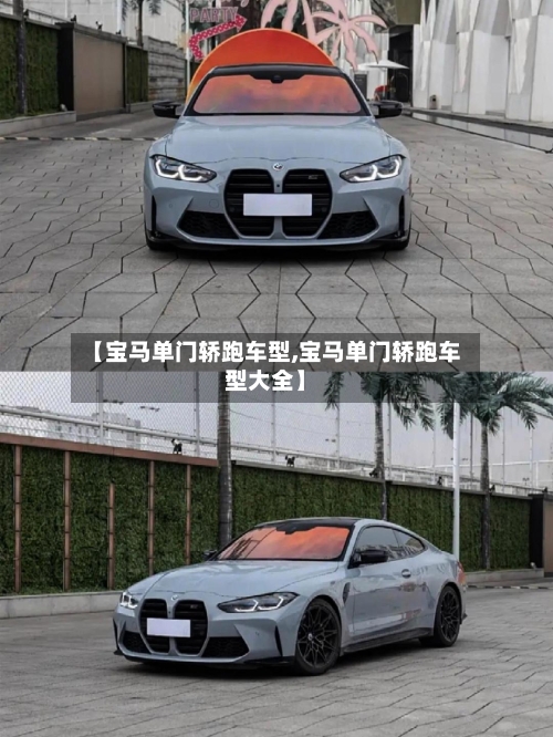 【宝马单门轿跑车型,宝马单门轿跑车型大全】