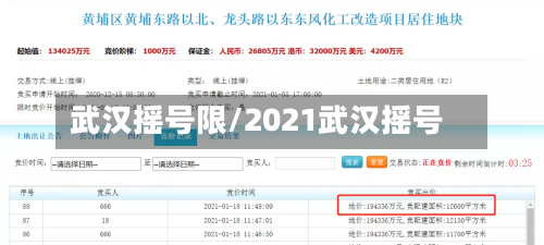 武汉摇号限/2021武汉摇号