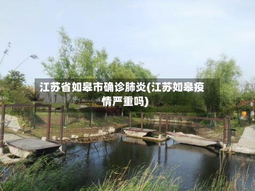 江苏省如皋市确诊肺炎(江苏如皋疫情严重吗)-第2张图片