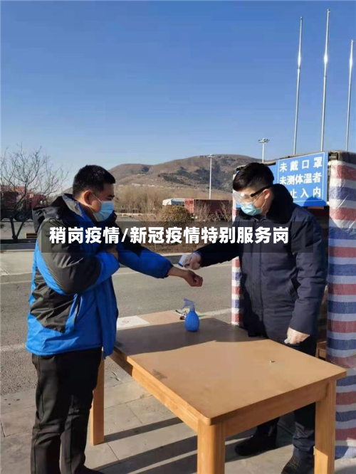 稍岗疫情/新冠疫情特别服务岗-第2张图片