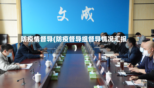 防疫情督导(防疫督导组督导情况汇报)
