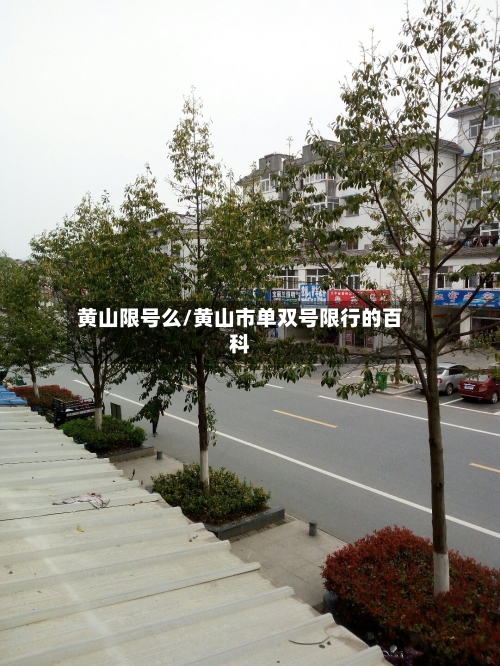黄山限号么/黄山市单双号限行的百科-第2张图片