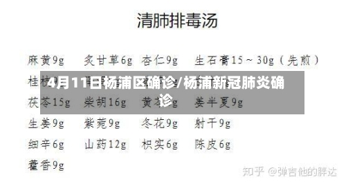 4月11日杨浦区确诊/杨浦新冠肺炎确诊-第2张图片
