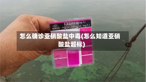 怎么确诊亚硝酸盐中毒(怎么知道亚硝酸盐超标)-第2张图片