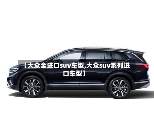 【大众全进口suv车型,大众suv系列进口车型】-第2张图片