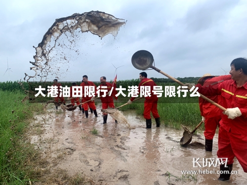 大港油田限行/大港限号限行么-第2张图片