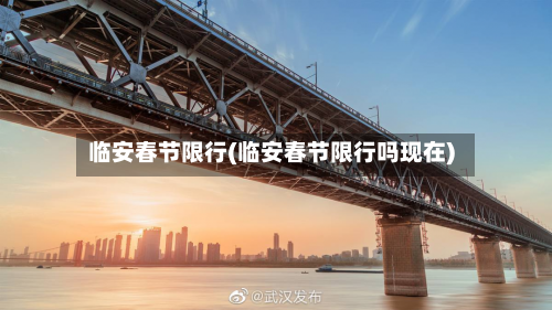 临安春节限行(临安春节限行吗现在)-第3张图片